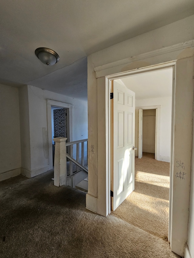 hallway featuring carpet floors