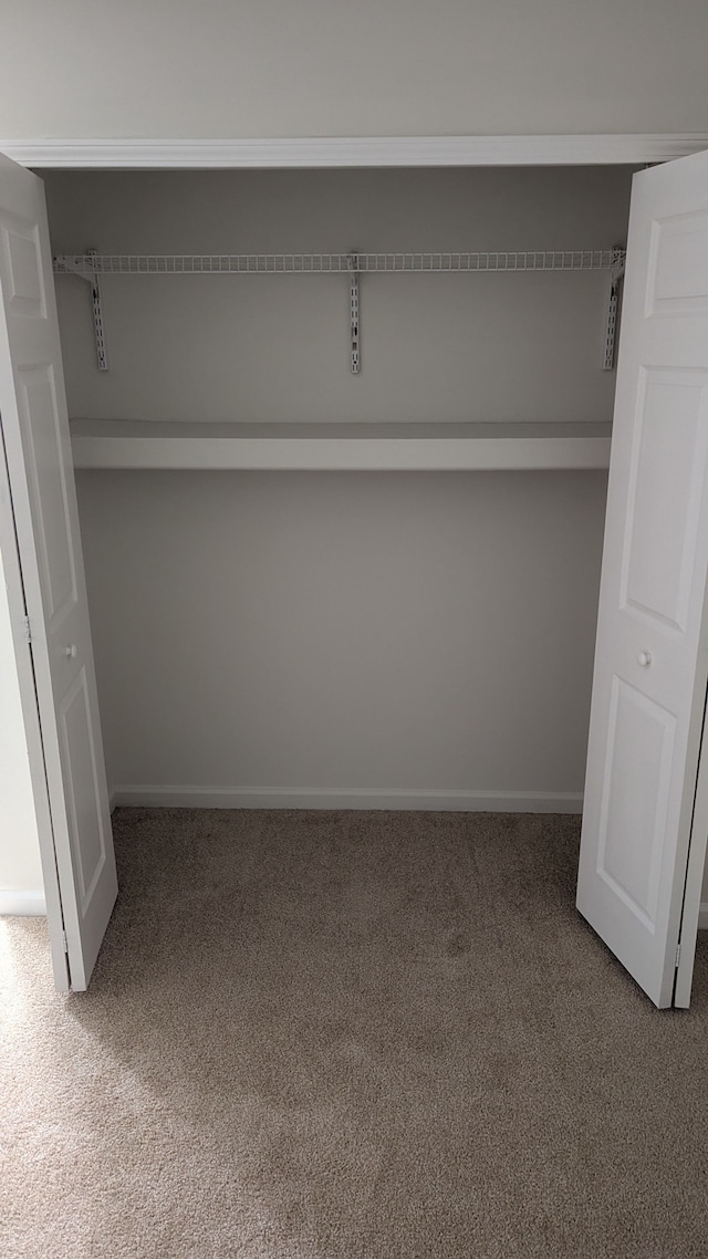 view of closet