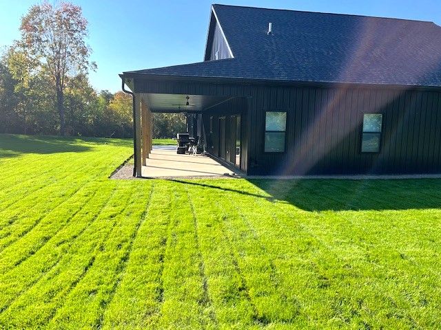 rear view of property with a patio and a lawn