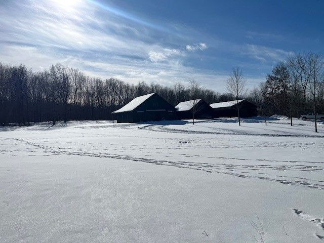 view of snowy yard