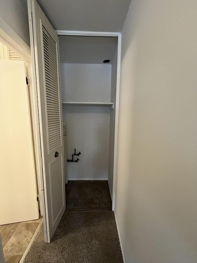 hallway featuring carpet floors
