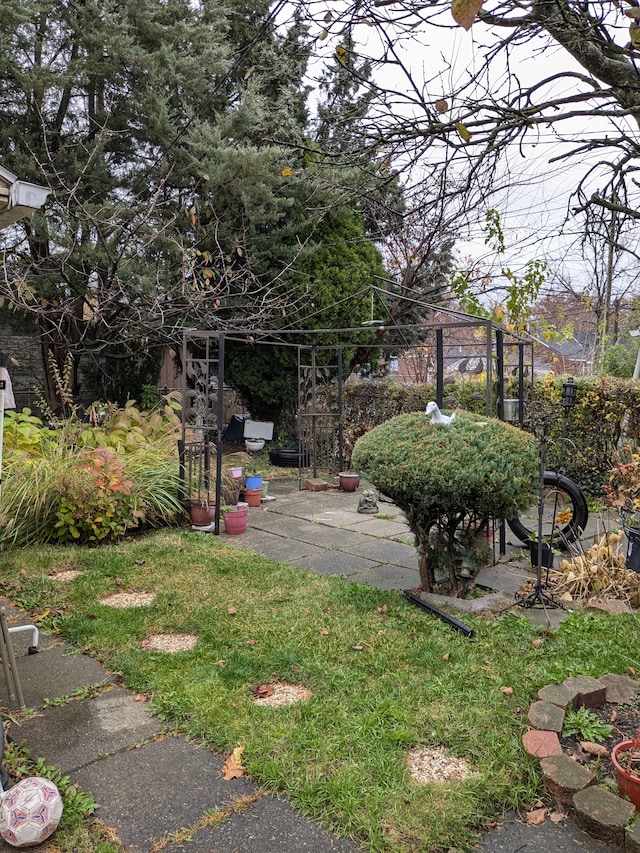 view of yard with a patio area