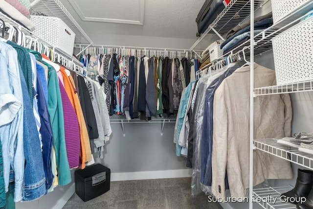 walk in closet featuring carpet floors and attic access