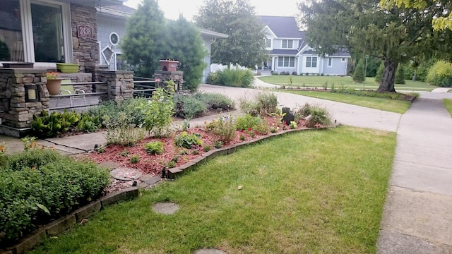 view of yard featuring concrete driveway