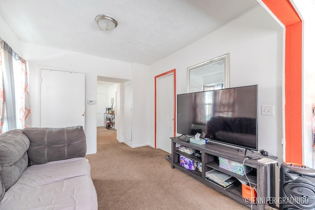 living room featuring light carpet