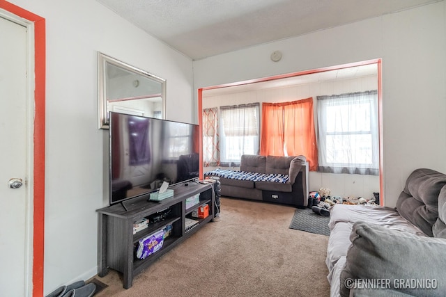 living area with carpet flooring and plenty of natural light