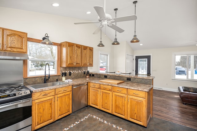 kitchen with stainless steel appliances, a healthy amount of sunlight, a sink, ventilation hood, and a peninsula