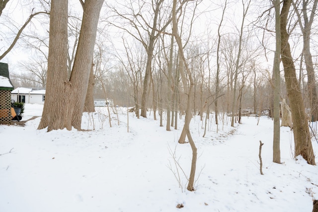 view of snowy yard