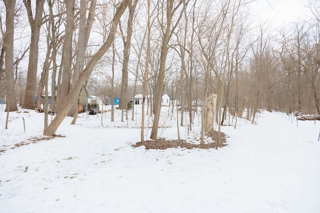 view of yard covered in snow