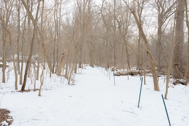 view of snowy yard