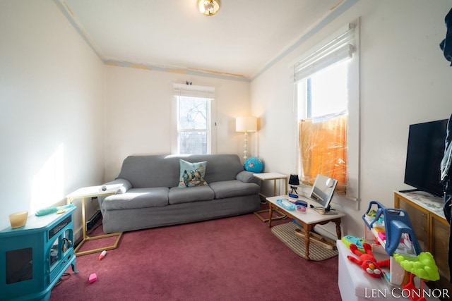 carpeted living room with crown molding