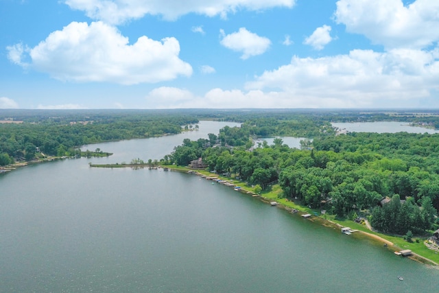 bird's eye view featuring a water view and a wooded view