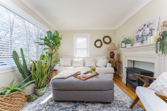 living area featuring wood finished floors