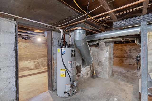 utility room with gas water heater