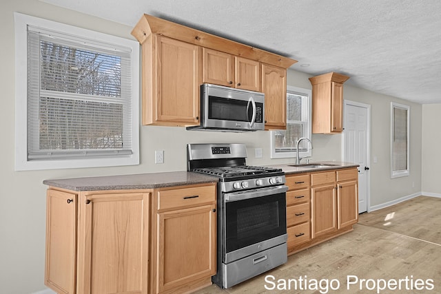 kitchen featuring light wood finished floors, stainless steel appliances, dark countertops, light brown cabinetry, and a sink