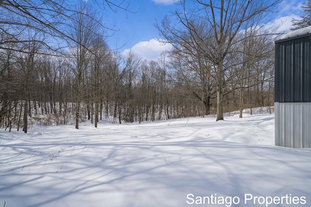 view of yard layered in snow