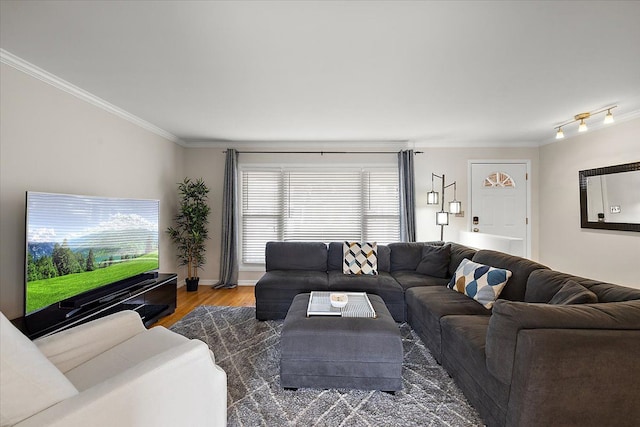 living room with ornamental molding and wood finished floors