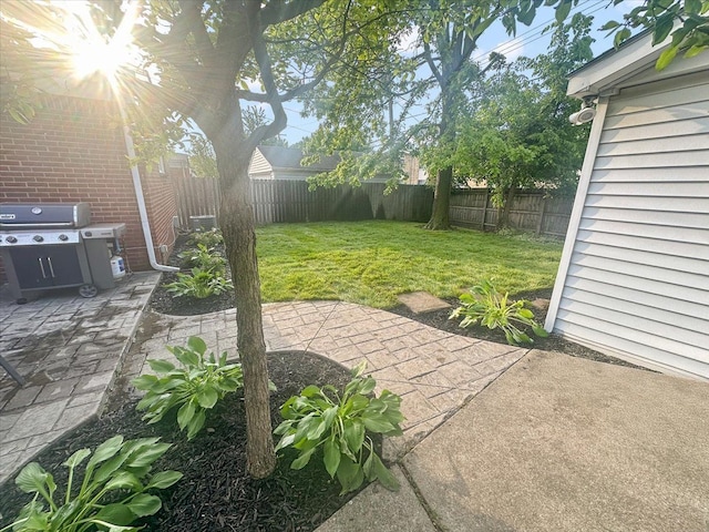 view of patio / terrace with a fenced backyard and area for grilling