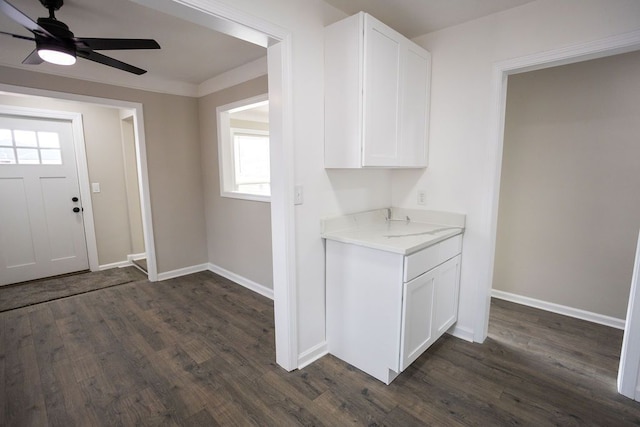 foyer entrance with a ceiling fan, baseboards, and dark wood-type flooring