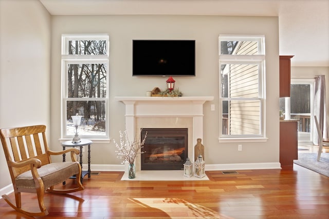 living area with plenty of natural light and wood-type flooring