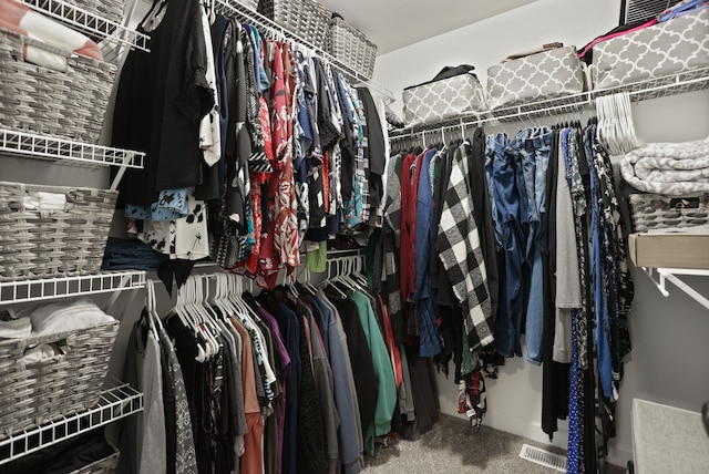 spacious closet with carpet floors