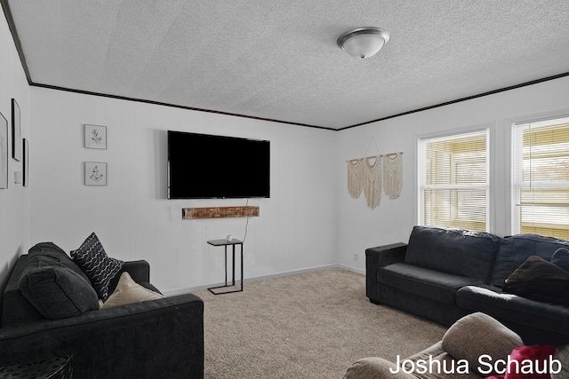 carpeted living area featuring ornamental molding, a textured ceiling, and baseboards