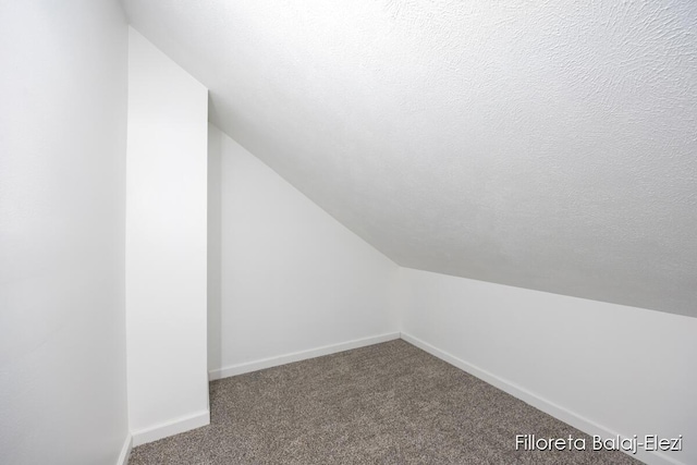 additional living space with a textured ceiling, vaulted ceiling, carpet, and baseboards