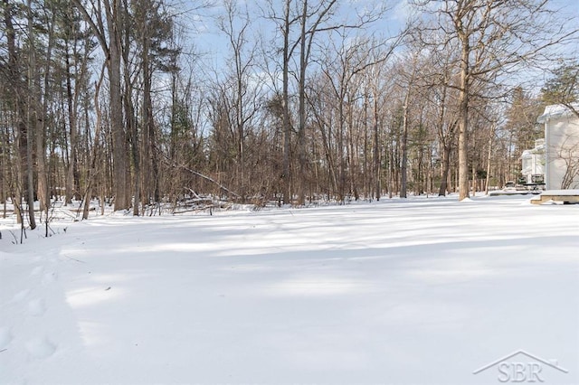 view of yard layered in snow