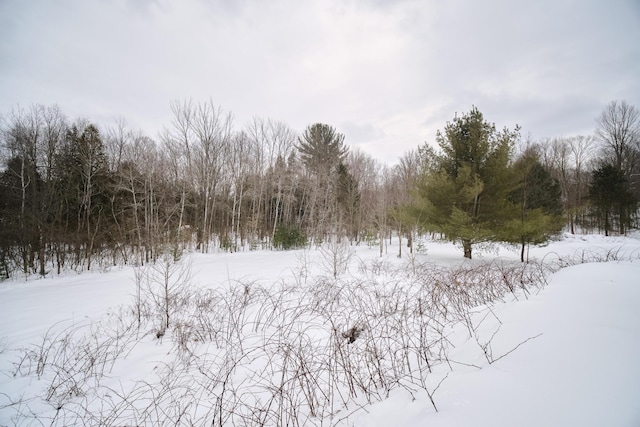 view of snow covered land featuring a forest view