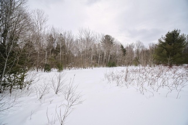 yard layered in snow with a forest view