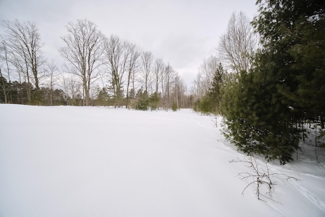 view of snowy yard