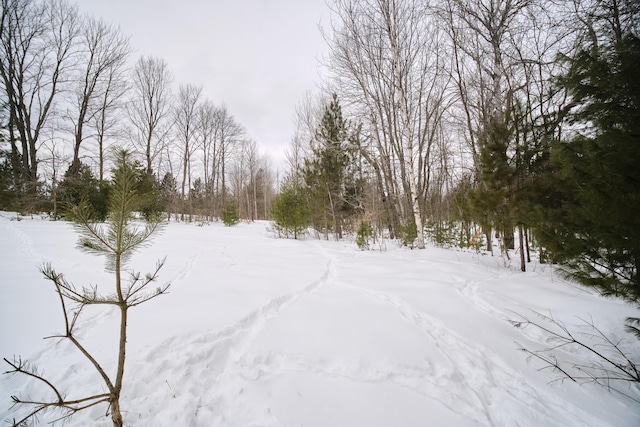 view of snowy yard