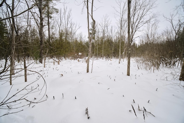 view of snowy yard