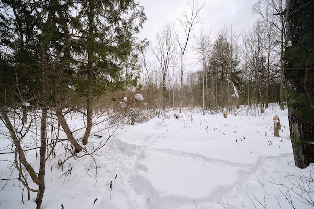 view of snowy landscape