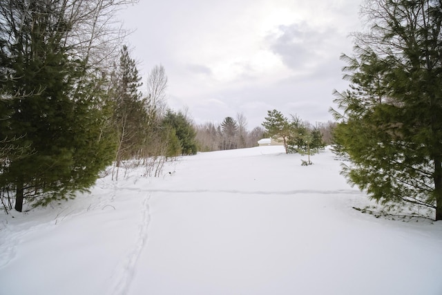 view of snowy yard