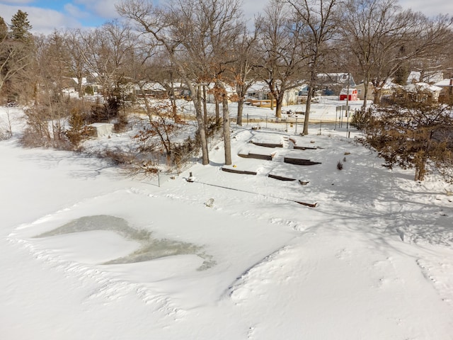 view of yard covered in snow