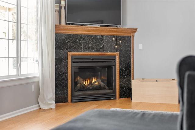 details featuring wood finished floors, baseboards, and a premium fireplace