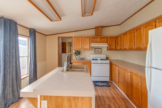 kitchen with white appliances, extractor fan, crown molding, light wood-style floors, and a sink