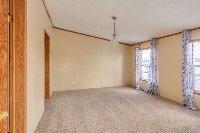 carpeted empty room featuring a textured ceiling and crown molding