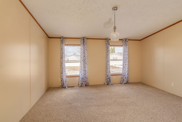 spare room featuring carpet floors, ornamental molding, and plenty of natural light