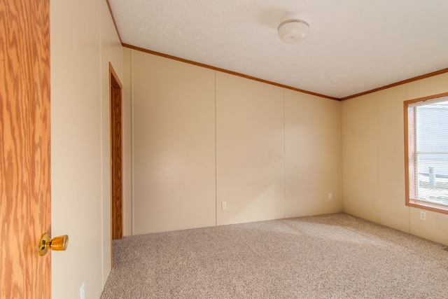 empty room featuring carpet floors and crown molding