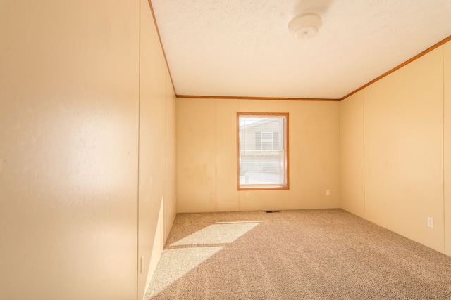 carpeted spare room featuring ornamental molding and a textured ceiling