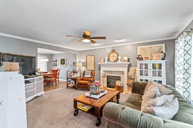 carpeted living area with a tile fireplace, crown molding, baseboards, and ceiling fan with notable chandelier