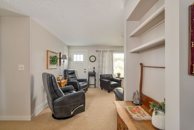 7214 S M 66, Mancelona, MI 49659 - carpeted living area with baseboards and a textured ceiling