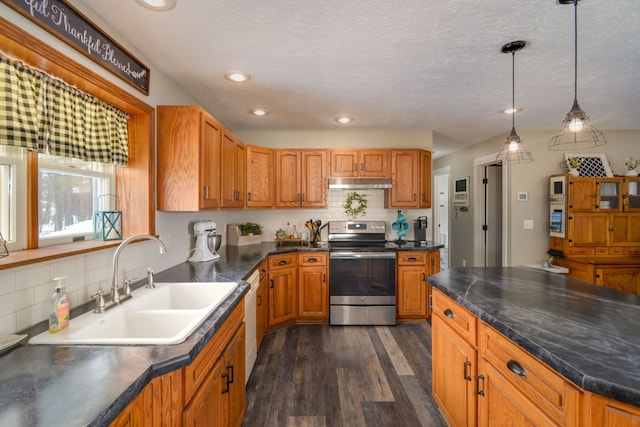 7214 S M 66, Mancelona, MI 49659 - kitchen with stainless steel range with electric stovetop, a sink, brown cabinetry, and under cabinet range hood