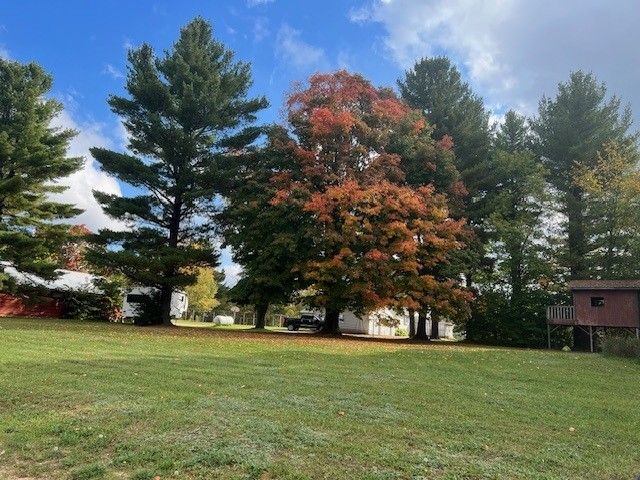 7214 S M 66, Mancelona, MI 49659 - view of yard