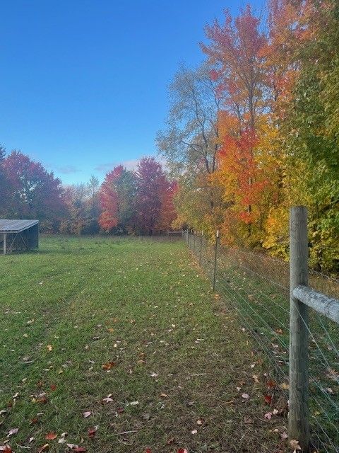 7214 S M 66, Mancelona, MI 49659 - view of yard featuring fence and a forest view