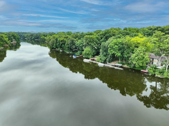 bird's eye view with a forest view and a water view