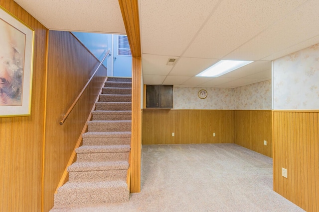 stairway with carpet, wainscoting, wood walls, a drop ceiling, and wallpapered walls