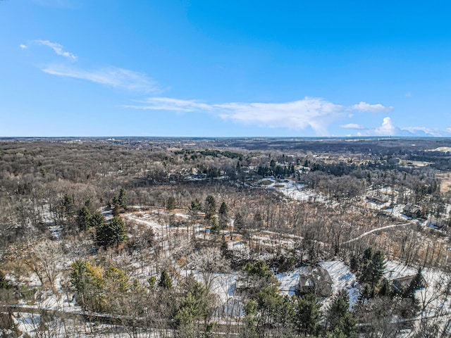 drone / aerial view with a mountain view